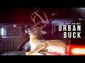 GIANT old six-point URBAN BUCK hits the ground!