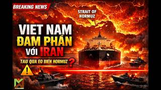 Việt Nam đang đàm phán với Iran để tàu đi qua eo biển Hormuz