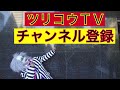 【2015】渋谷ハロウィン地獄絵図！djポリス u0026コスプレイヤー大熱狂の一夜【halloween in tokyo】