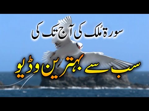 surah mulk with urdu translation full surah mulk with urdu translation full