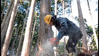 残したい音風景【山守・京北森林組合】～山の声に、耳を澄まして。～