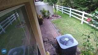 Seminole County K-9 searches for suspect