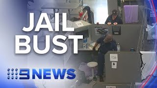 Exclusive footage of a surprise raid on State’s most serious offenders | Nine News Australia