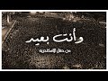 وانت بعيد من حفل الاسكندرية - تامر حسني / Tamer Hosny Wa Enta ba3eed Live - Tamer hosny