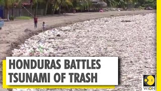 Honduras' coastline covered with discarded plastic | Central America | WION