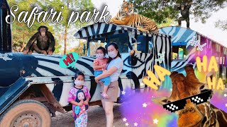 น้องสมายด์|พาเที่ยว สวนสัตว์เปิด ซาฟารีปาร์ค กาญจนบุรี Safari Park