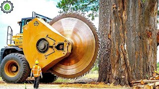 Extreme Dangerous Fastest Big Chainsaw Cutting Tree Machines | Monster Stump Removal Excavator ▶72