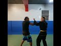 Dux ryu ninjutsu defense against a punch