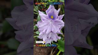 ಹೂವೆ ಹೂವೆ ನಿನ್ನ ಹೆಸರೇನು|Guess the name@vajradubhi