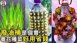 園藝DIY花盆|用完的“油桶”別扔，這樣改造一下，不花一分錢“變廢為寶”|花花世界