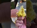 Durian Layung lokal premium dari Tasik