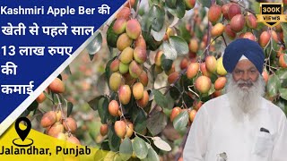 Kashmiri Apple Ber की खेती से पहले साल 13 लाख रुपए की कमाई