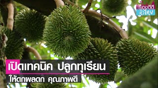 เปิดเทคนิคปลูกทุเรียนให้ลูกดก ผลผลิตดี  I เรื่องดีดีทั่วไทย I 10-3-65