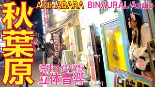 【4K/立体音響】秋葉原 電気街 20230129 akihabara tokyo walk