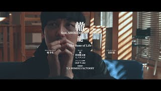 龍 / 轍 feat, SHOKI (¥Baller'zCrew)【Music short film chapter 5】