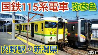 【国鉄115系電車・JR内野駅】白と黄色の車体にグリーンの帯が美しい弥彦線カラーに包まれたレトロ車両。JR越後線・吉田行き（新潟県・鉄道）