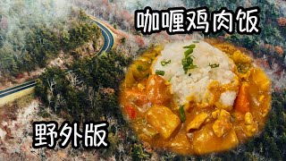 【Zora小厨房】野外版--咖喱鸡肉饭 Japanese Curry Chicken