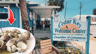 What’s It Like to Visit Cedar Key Florida?