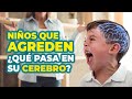 ¿Conducta agresiva en Niñ@s? Cómo gestionarla adecuadamente 👦👧