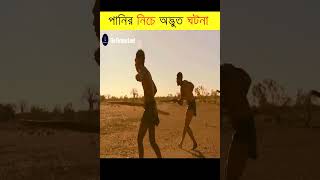 প্রাচীন মানুষ যেভাবে নিজেদের খাবার জোগাড় করতো