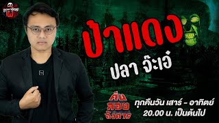 ป้าแดง - ปลา จ๊ะเอ๋ / อาณาจักรผี /คืนลอยอังคาร 4 ม.ค.68 [ เล่าเรื่องผี ]