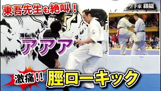 石井東吾先生も絶叫した受けられない脛ローキックの蹴り方【完全解説】