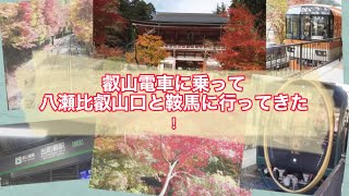 叡山電車に乗って八瀬比叡山口駅と鞍馬駅に行きました。