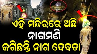 ଏହି ମନ୍ଦିରରେ ରହିଛି ନାଗ ମଣି | Untold Mysterious Story Of ‘nagamani’। Nirapekshya News