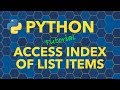 Python Access Index of List Items Using For Loop