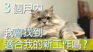 😃✨三個月內會找到適合我的新工作嗎 ?✨😃 ｜待業｜跳槽｜求職｜