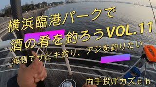 横浜みなとみらい臨港パークで酒の肴を釣ろうVOL.11・海側でサビキ釣り、アジを釣りたい。