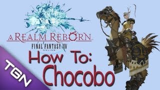 FFXIV:ARR How to Get Chocobo Mount \u0026 Fighting Companion