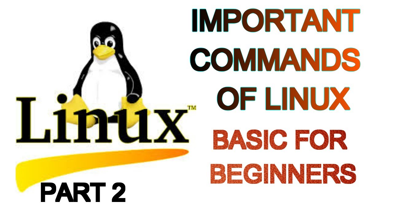 Basic Linux Tutorial For Beginners | Part 2 - YouTube