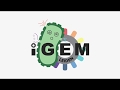 iGEM Leiden 2018: Fifty Shades of Stress