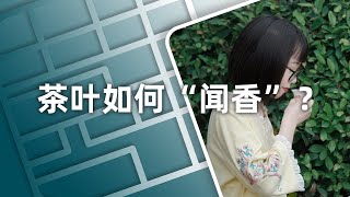 你知道茶叶“闻香”闻的是什么吗？| How to Smell the Aroma of Tea? | ENG SUB