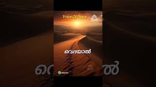 🎧voice of peace മണിമുത്ത് റസൂലിൻറെ ........🎙️IFA SHIHAB PT