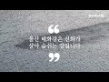 태화강의괴생명체 머선 129...알고보니