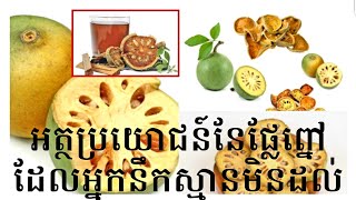 ផ្លែព្នៅគឺជាថ្នាំដ៏ពូកែស័កិ្កសិទ្ធ#2 - KH108