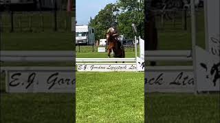 Danny boy smashing it in the ring today #ponylover #jumping #showhunterjump