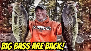 BIG BASS ARE BACK- New Season full length eps.