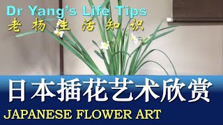 日本插花艺术（Japanese flower arrangement art）