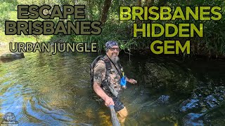 Escape Brisbane's Urban Jungle and Discover a Hidden Gem.