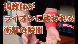 激裏TV・ボリショイサーカスで調教師がライオンに襲われる瞬間