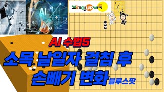 바둑강좌 #66-AI 수법5- 소목 날일자 걸침 후 손빼기 변화