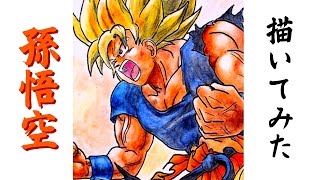 ドラゴンボールの絵 孫悟空のイラストのメイキング動画-How to draw Dragonball-드래곤볼 그리는