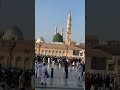 mashallah most beautiful voice subhahnallah love islamic shortvideo madina