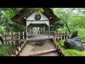 【石川県 4k】日本三名園 兼六園の散歩 立体音響asmr