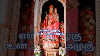 மரியே வாழ்க #shorts #avemaria #sundaymass