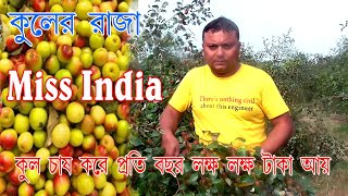 কুলের রাজা Miss India Apple Ber। ভারত সুন্দরী কুল চাষ করে প্রতিবছর  লক্ষ লক্ষ টাকা আয়।