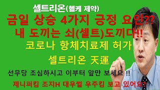 [셀트권] 셀트리온 금일상승 4가지 긍정 요인?? 내 도끼는 쇠 도끼다!!